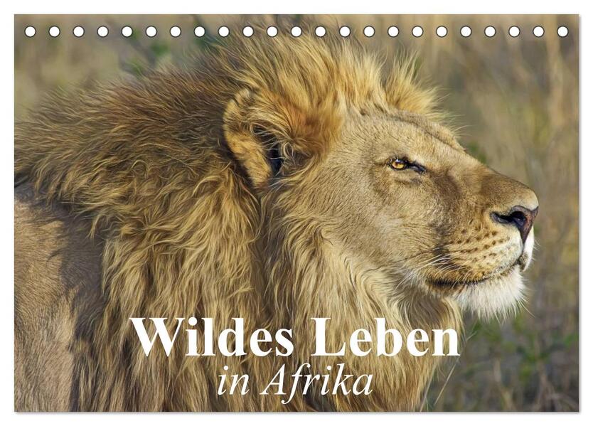 Wildes Leben in Afrika (Tischkalender 2024 DIN A5 quer) CALVENDO Monatskalender