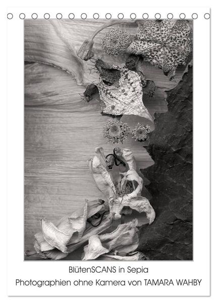 BlütenScans in Sepia Photographien ohne Kamera von Tamara Wahby (Tischkalender 2024 DIN A5 hoch) CALVENDO Monatskalender