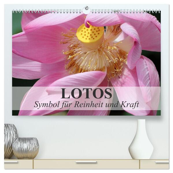 Lotos - Symbol für Reinheit und Kraft (hochwertiger Premium Wandkalender 2024 DIN A2 quer) Kunstdruck in Hochglanz