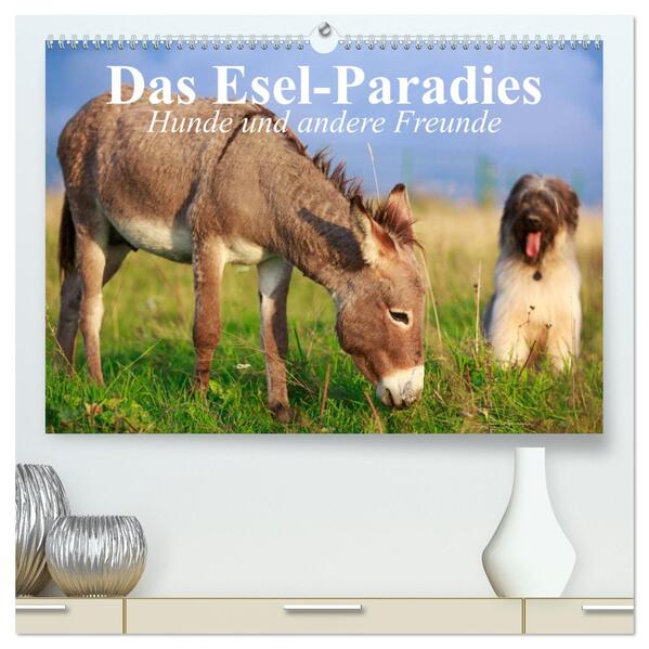 Das Esel-Paradies - Hunde und andere Feunde (hochwertiger Premium Wandkalender 2024 DIN A2 quer) Kunstdruck in Hochglanz