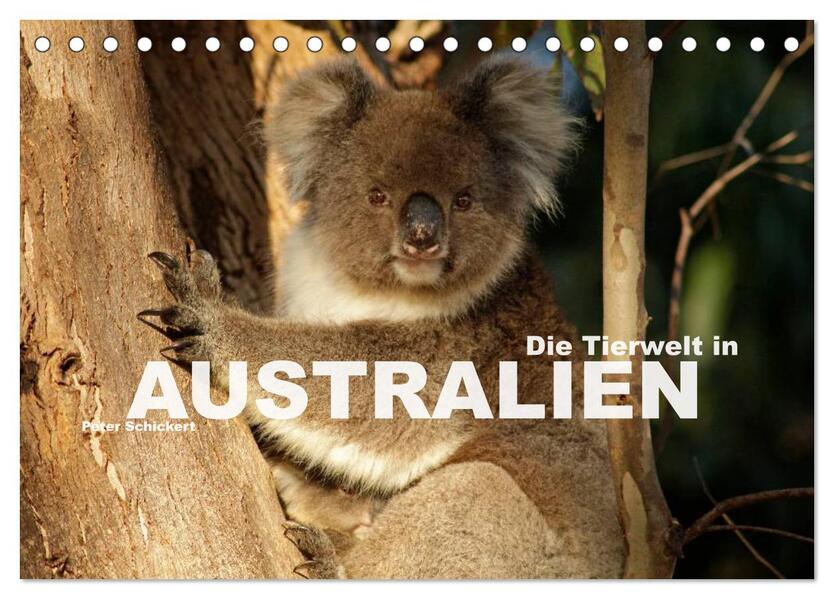 Die Tierwelt in Australien (Tischkalender 2024 DIN A5 quer) CALVENDO Monatskalender