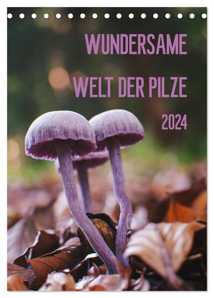 Wundersame Welt der Pilze (Tischkalender 2024 DIN A5 hoch) CALVENDO Monatskalender