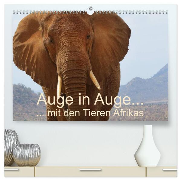 Auge in Auge mit den Tieren Afrikas (hochwertiger Premium Wandkalender 2024 DIN A2 quer) Kunstdruck in Hochglanz