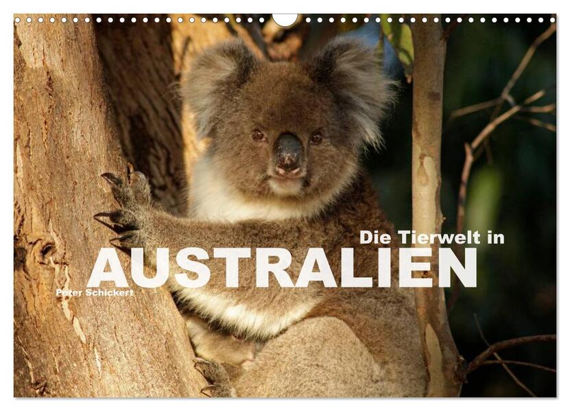 Die Tierwelt in Australien (Wandkalender 2024 DIN A3 quer) CALVENDO Monatskalender
