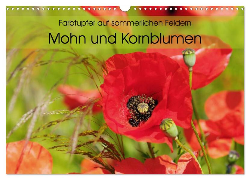Farbtupfer auf sommerlichen Feldern - Mohn und Kornblumen (Wandkalender 2024 DIN A3 quer) CALVENDO Monatskalender