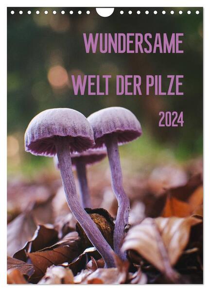 Wundersame Welt der Pilze (Wandkalender 2024 DIN A4 hoch) CALVENDO Monatskalender