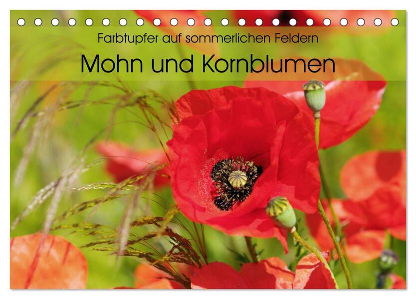 Farbtupfer auf sommerlichen Feldern - Mohn und Kornblumen (Tischkalender 2024 DIN A5 quer) CALVENDO Monatskalender