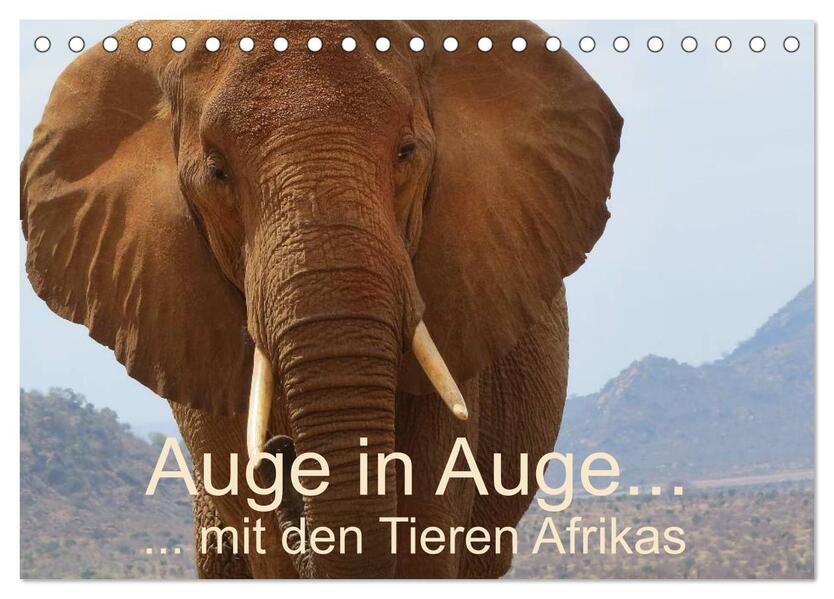 Auge in Auge mit den Tieren Afrikas (Tischkalender 2024 DIN A5 quer) CALVENDO Monatskalender