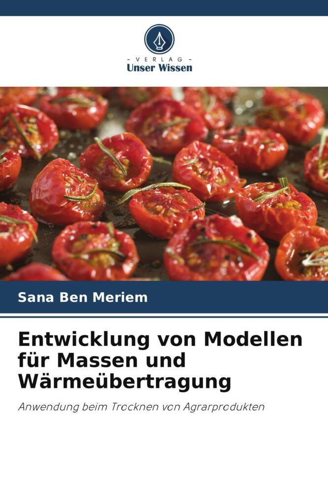 Entwicklung von Modellen für Massen und Wärmeübertragung
