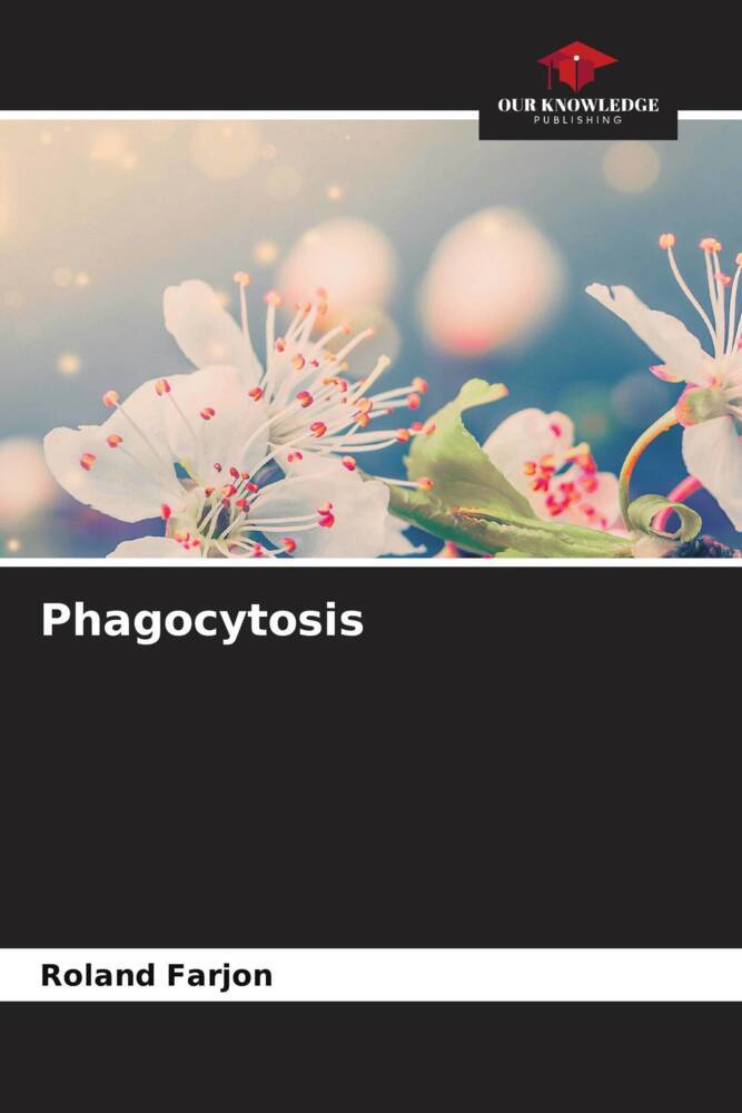 Phagocytosis