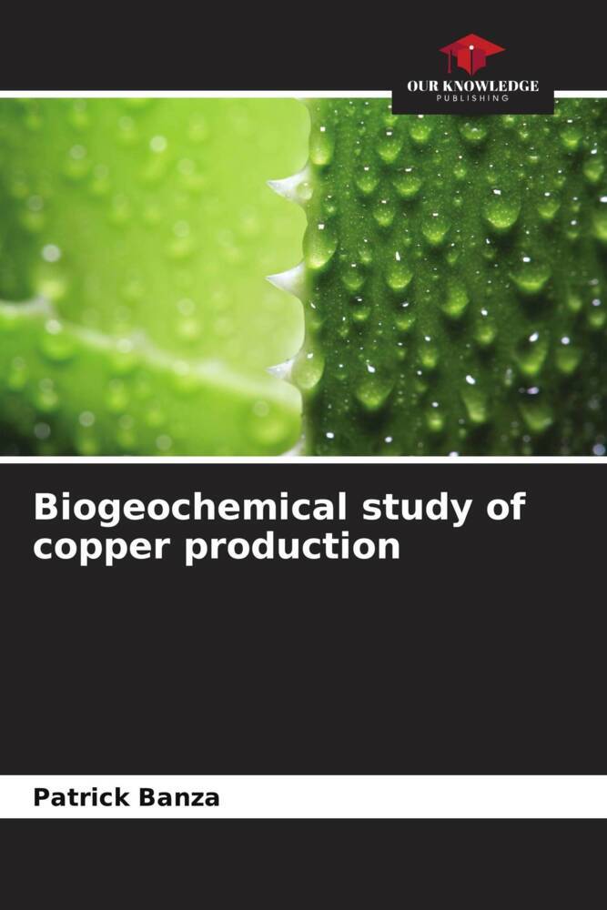 Biogeochemical study of copper production