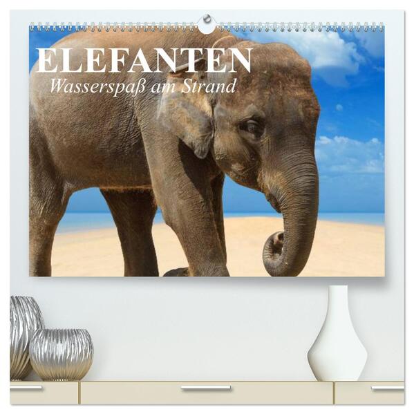 Elefanten - Wasserspaß am Strand (hochwertiger Premium Wandkalender 2024 DIN A2 quer) Kunstdruck in Hochglanz