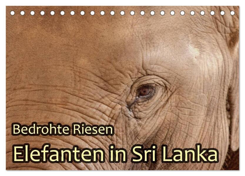 Bedrohte Riesen - Elefanten in Sri Lanka (Tischkalender 2024 DIN A5 quer) CALVENDO Monatskalender