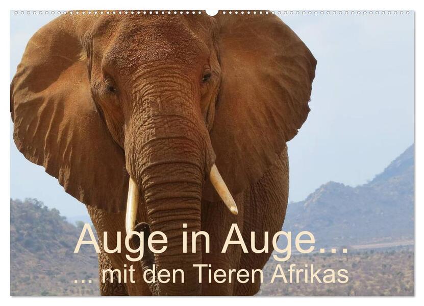 Auge in Auge mit den Tieren Afrikas (Wandkalender 2024 DIN A2 quer) CALVENDO Monatskalender