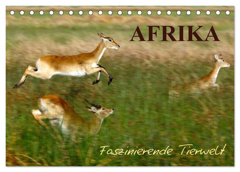 Afrika - Faszinierende Tierwelt (Tischkalender 2024 DIN A5 quer) CALVENDO Monatskalender