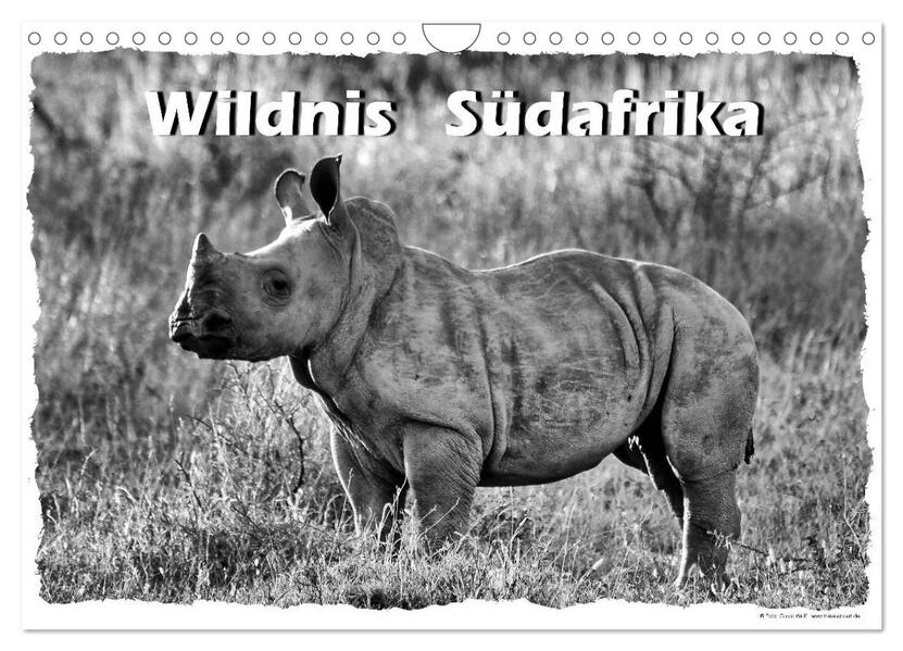 Wildnis Südafrika (Wandkalender 2024 DIN A4 quer) CALVENDO Monatskalender