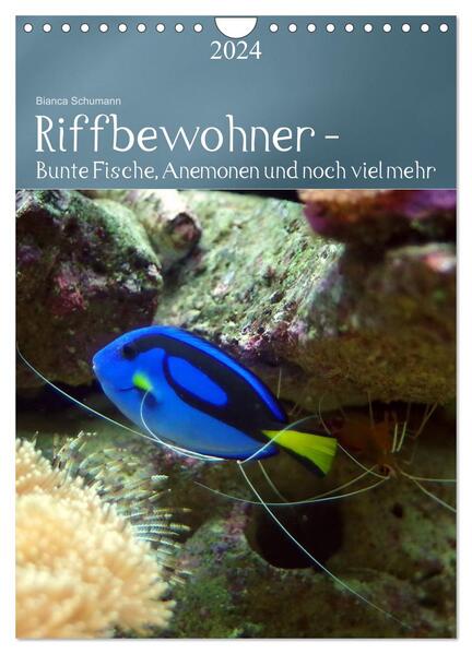 Riffbewohner - Bunte Fische Anemonen und noch viel mehr (Wandkalender 2024 DIN A4 hoch) CALVENDO Monatskalender