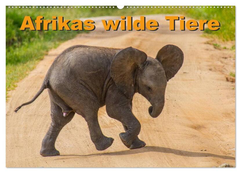 Afrikas wilde Tiere (Wandkalender 2024 DIN A2 quer) CALVENDO Monatskalender