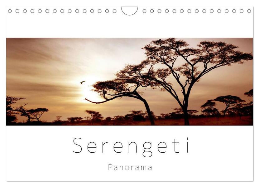Serengeti Panorama (Wandkalender 2024 DIN A4 quer) CALVENDO Monatskalender - studio visuell photography