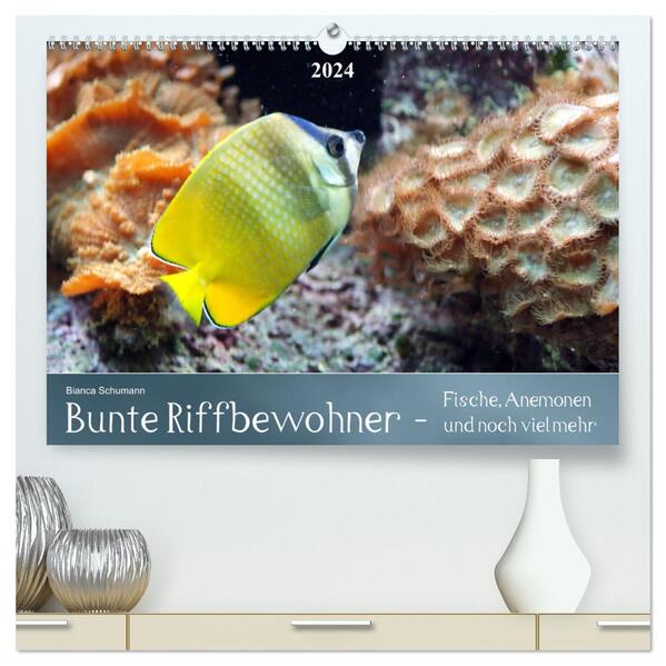 Bunte Riffbewohner - Fische Anemonen und noch viel mehr (hochwertiger Premium Wandkalender 2024 DIN A2 quer) Kunstdruck in Hochglanz