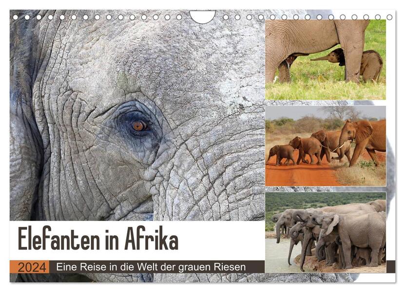 Elefanten in Afrika (Wandkalender 2024 DIN A4 quer) CALVENDO Monatskalender