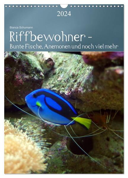 Riffbewohner - Bunte Fische Anemonen und noch viel mehr (Wandkalender 2024 DIN A3 hoch) CALVENDO Monatskalender