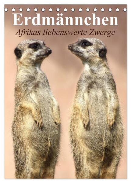 Erdmännchen - Afrikas liebenswerte Zwerge (Tischkalender 2024 DIN A5 hoch) CALVENDO Monatskalender