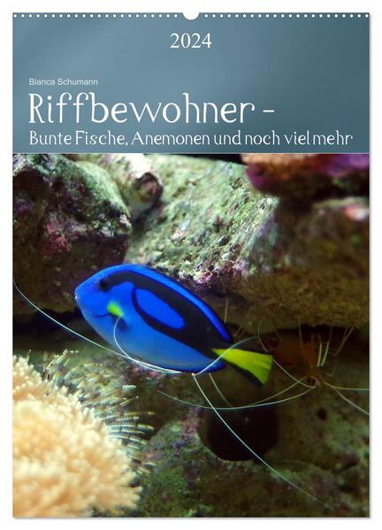 Riffbewohner - Bunte Fische Anemonen und noch viel mehr (Wandkalender 2024 DIN A2 hoch) CALVENDO Monatskalender - Bianca Schumann