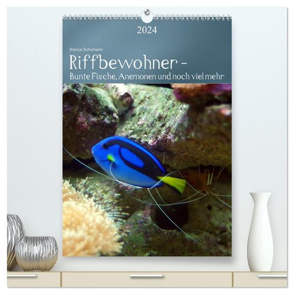 Riffbewohner - Bunte Fische Anemonen und noch viel mehr (hochwertiger Premium Wandkalender 2024 DIN A2 hoch) Kunstdruck in Hochglanz