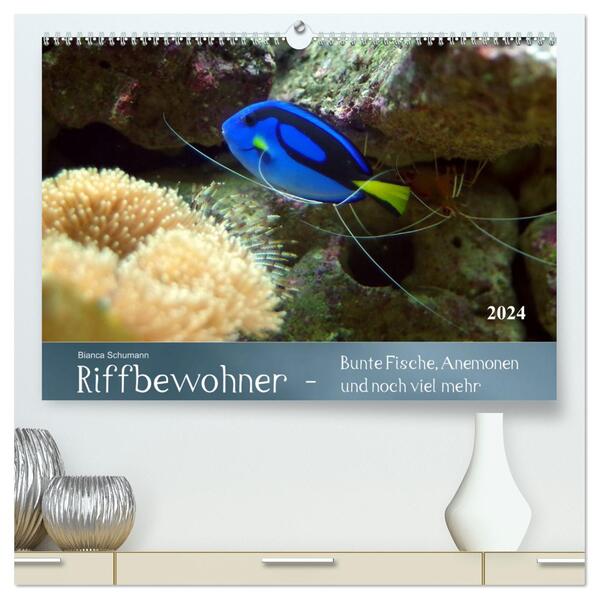 Riffbewohner - Bunte Fische Anemonen und noch viel mehr (hochwertiger Premium Wandkalender 2024 DIN A2 quer) Kunstdruck in Hochglanz