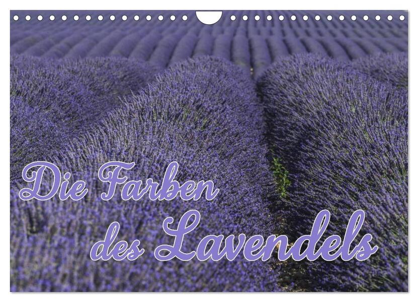 Die Farbe des Lavendels (Wandkalender 2024 DIN A4 quer) CALVENDO Monatskalender