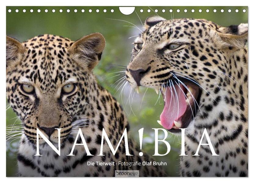 Namibia - Die Tierwelt (Wandkalender 2024 DIN A4 quer) CALVENDO Monatskalender