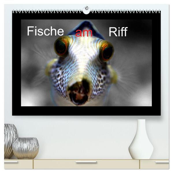 Fische am Riff (hochwertiger Premium Wandkalender 2024 DIN A2 quer) Kunstdruck in Hochglanz