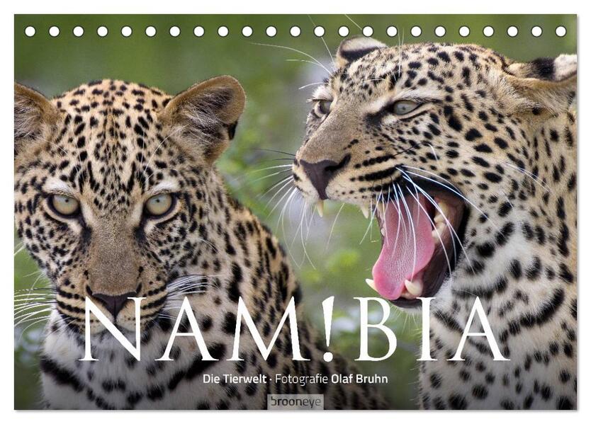 Namibia - Die Tierwelt (Tischkalender 2024 DIN A5 quer) CALVENDO Monatskalender