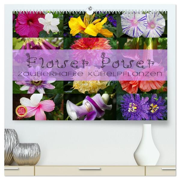 Flower Power - Zauberhafte Kübelpflanzen (hochwertiger Premium Wandkalender 2024 DIN A2 quer) Kunstdruck in Hochglanz