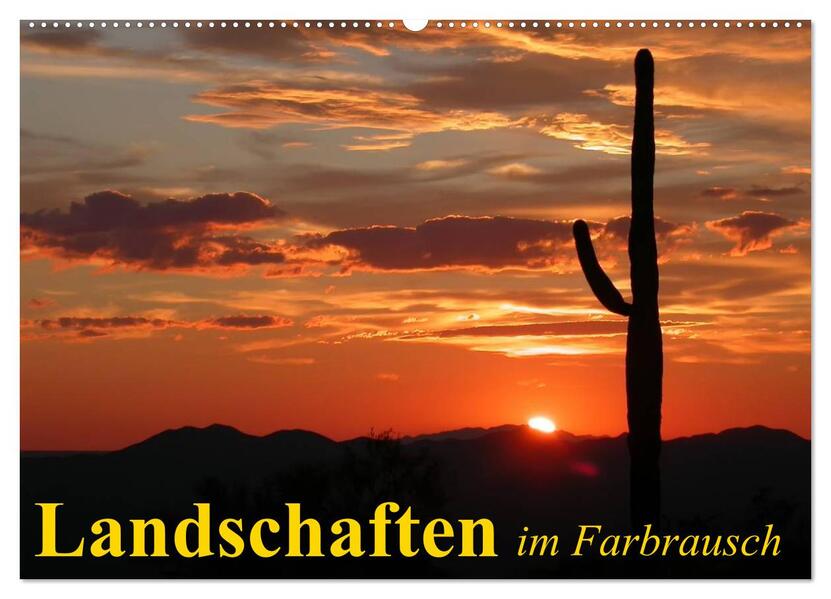 Landschaften im Farbrausch (Wandkalender 2024 DIN A2 quer) CALVENDO Monatskalender