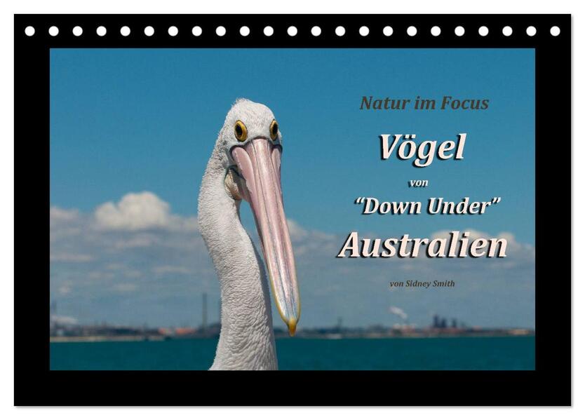 Vögel von Down Under Australien (Tischkalender 2024 DIN A5 quer) CALVENDO Monatskalender