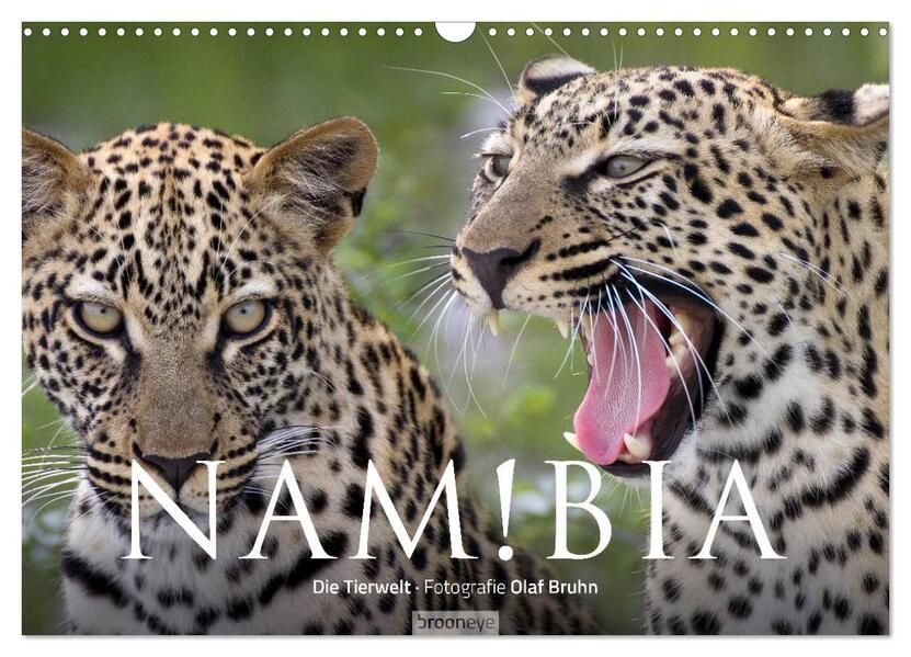 Namibia - Die Tierwelt (Wandkalender 2024 DIN A3 quer) CALVENDO Monatskalender