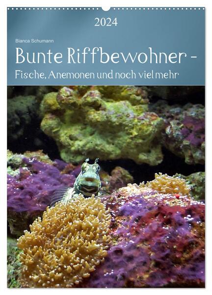 Bunte Riffbewohner - Fische Anemonen und noch viel mehr (Wandkalender 2024 DIN A2 hoch) CALVENDO Monatskalender