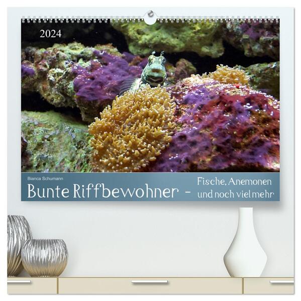 Bunte Riffbewohner - Fische Anemonen und noch viel mehr (hochwertiger Premium Wandkalender 2024 DIN A2 quer) Kunstdruck in Hochglanz