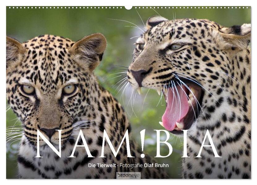 Namibia - Die Tierwelt (Wandkalender 2024 DIN A2 quer) CALVENDO Monatskalender