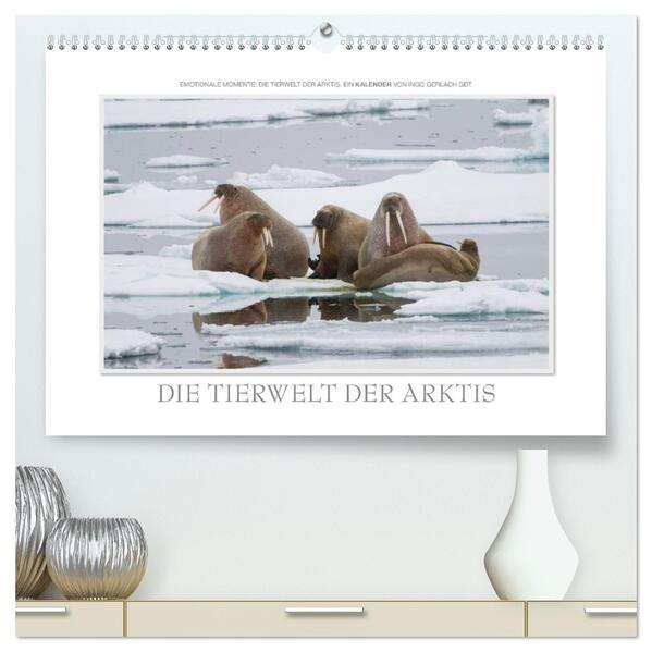 Emotionale Momente: Die Tierwelt der Arktis / CH-Version (hochwertiger Premium Wandkalender 2024 DIN A2 quer) Kunstdruck in Hochglanz