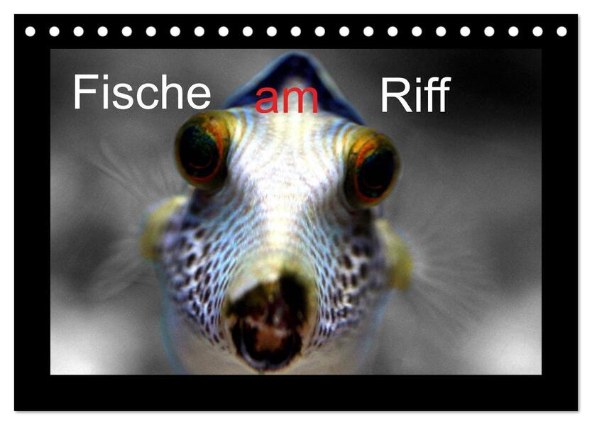 Fische am Riff (Tischkalender 2024 DIN A5 quer) CALVENDO Monatskalender