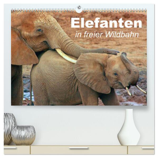 Elefanten in freier Wildbahn (hochwertiger Premium Wandkalender 2024 DIN A2 quer) Kunstdruck in Hochglanz