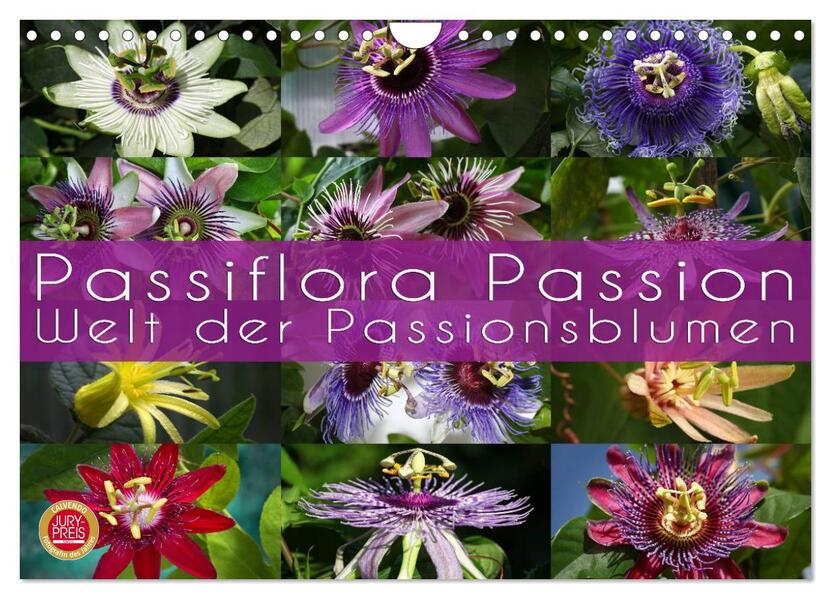 Passiflora Passion - Welt der Passionsblumen (Wandkalender 2024 DIN A4 quer) CALVENDO Monatskalender