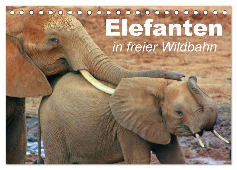 Elefanten in freier Wildbahn (Tischkalender 2024 DIN A5 quer) CALVENDO Monatskalender