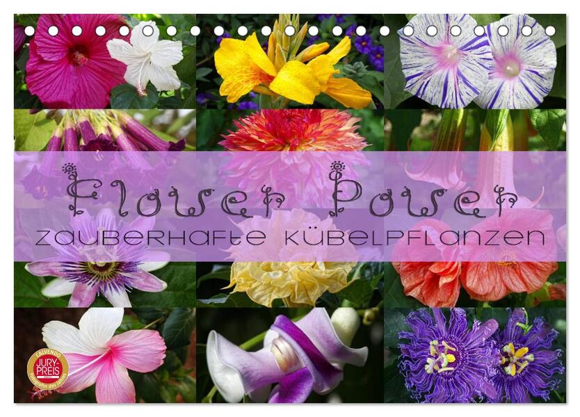 Flower Power - Zauberhafte Kübelpflanzen (Tischkalender 2024 DIN A5 quer) CALVENDO Monatskalender