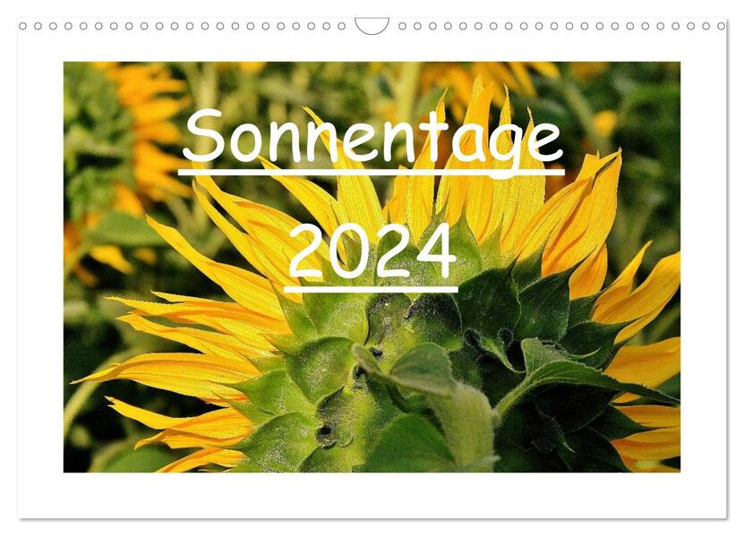 Sonnentage 2024 (Wandkalender 2024 DIN A3 quer) CALVENDO Monatskalender