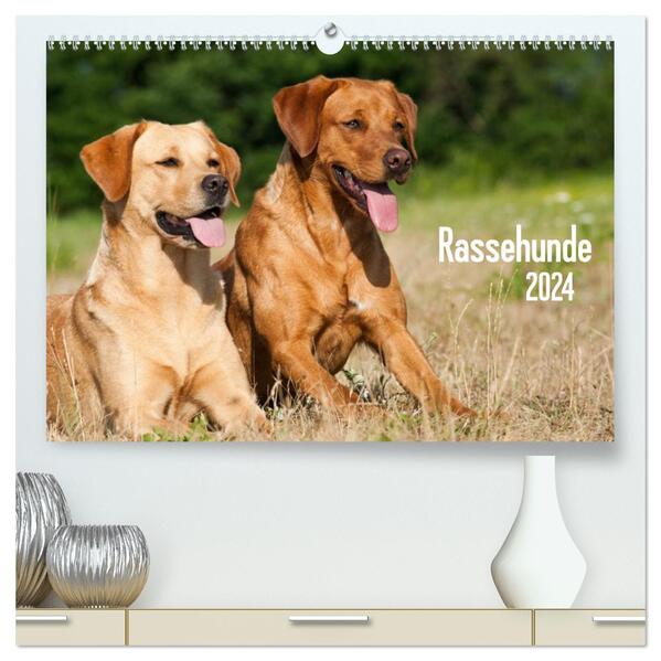 Rassehunde (hochwertiger Premium Wandkalender 2024 DIN A2 quer) Kunstdruck in Hochglanz
