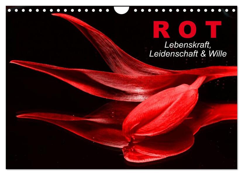 Rot Lebenskraft Leidenschaft & Wille (Wandkalender 2024 DIN A4 quer) CALVENDO Monatskalender